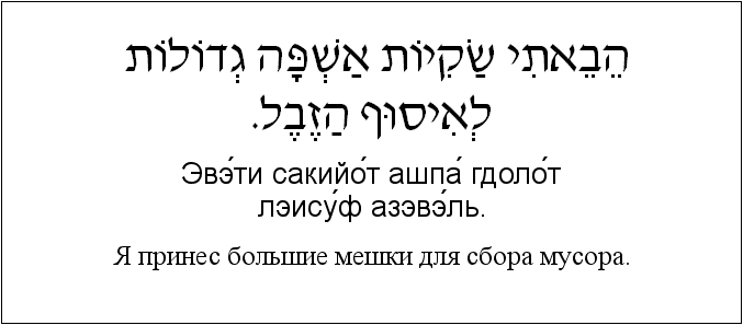 Иврит и русский: Я принес большие мешки для сбора мусора