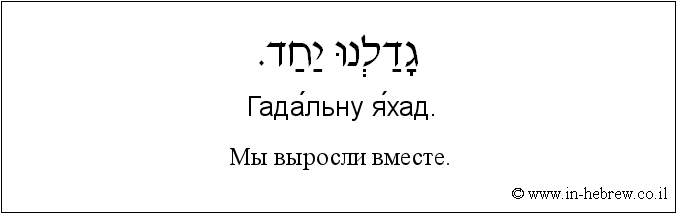 Иврит и русский: Мы выросли вместе