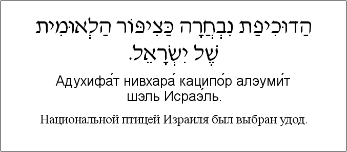 Иврит и русский: Национальной птицей Израиля был выбран удод