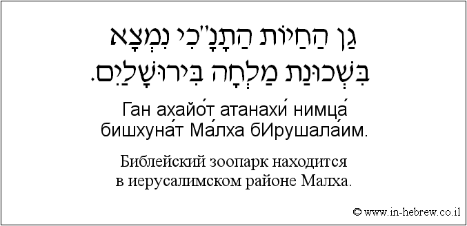 Иврит и русский: Библейский зоопарк находится в иерусалимском районе Малха