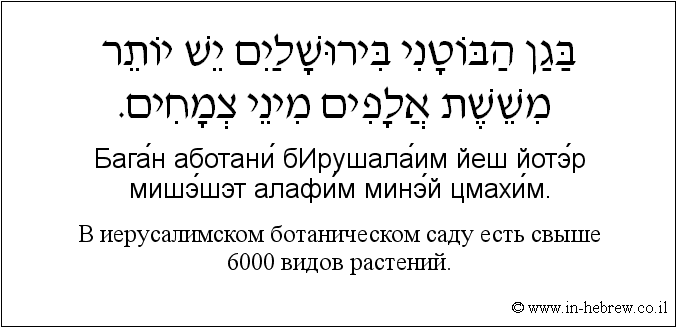 Иврит и русский: B иерусалимском ботаническом саду есть свыше 6000 видов растений