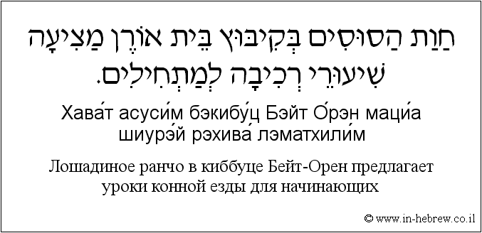 Иврит и русский: Лошадиное ранчо в киббуце Бейт-Орен предлагает уроки конной езды для начинающих