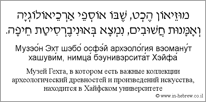 Иврит и русский: Музей Гехта, в котором есть важные коллекции археологический древностей и произведений искусства, находится в Хайфском университете