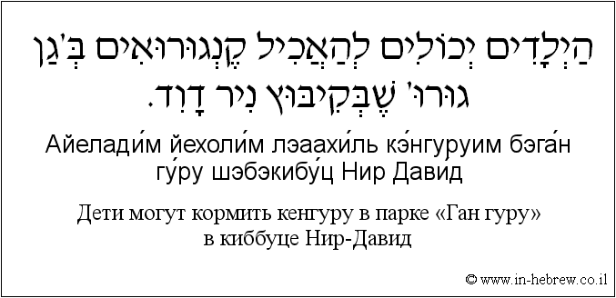 Иврит и русский: Дети могут кормить кенгуру в парке «Ган гуру» в киббуце Нир-Давид