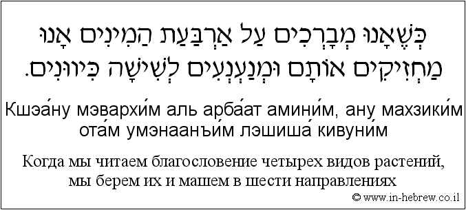 Иврит и русский: Когда мы читаем благословение четырех видов растений, мы берем их и машем в шести направлениях