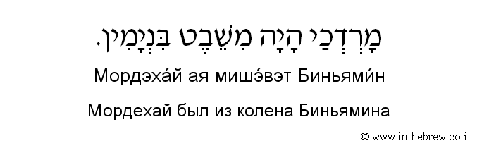 Иврит и русский: Мордехай был из колена Биньямина