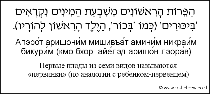 Иврит и русский: Первые плоды из семи видов называются «первинки» (по аналогии с ребенком-первенцем)