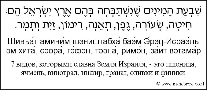 Иврит и русский: 7 видов, которыми славна Земля Израиля, — это пшеница, ячмень, виноград, инжир, гранат, оливки и финики