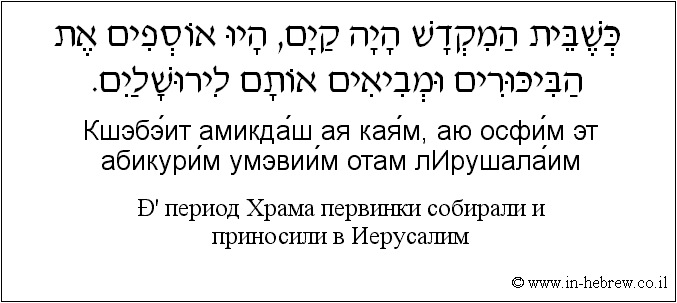 Иврит и русский: В период Храма первинки собирали и приносили в Иерусалим