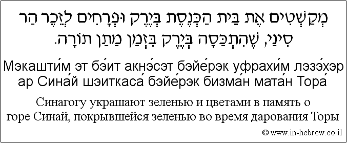 Иврит и русский: Синагогу украшают зеленью и цветами в память о горе Синай, покрывшейся зеленью во время дарования Торы