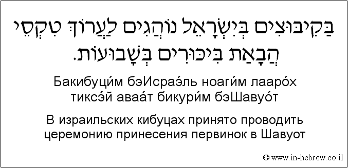 Иврит и русский: В израильских кибуцах принято проводить церемонию принесения первинок в Шавуот