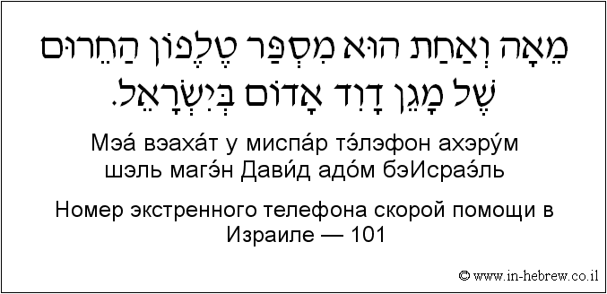 Иврит и русский: Номер экстренного телефона скорой помощи в Израиле — 101