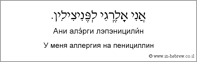 Иврит и русский: У меня аллергия на пенициллин