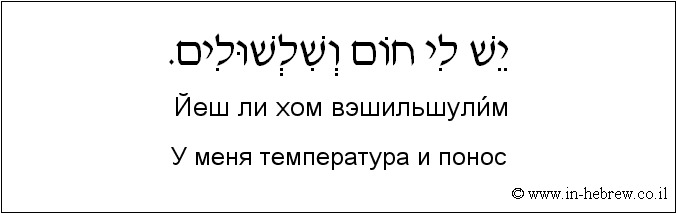 Иврит и русский: У меня температура и понос