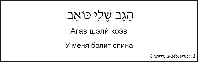 Иврит и русский: У меня болит спина