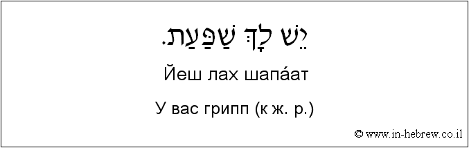Иврит и русский: У вас грипп (к ж. р.)