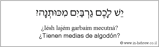Español y hebreo: ¿Tienen medias de algodón?