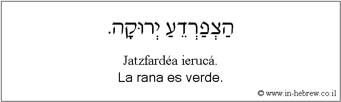 Español y hebreo: La rana es verde.