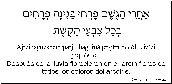 Español y hebreo: Después de la lluvia florecieron en el jardín flores de todos los colores del arcoíris.