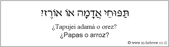 Español y hebreo: ¿Papas o arroz?