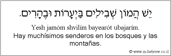 Español y hebreo: Hay muchísimos senderos en los bosques y las montañas.