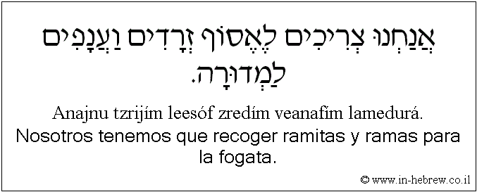 Español y hebreo: Nosotros tenemos que recoger ramitas y ramas para la fogata.