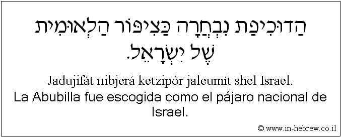 Español y hebreo: La Abubilla fue escogida como el pájaro nacional de Israel.