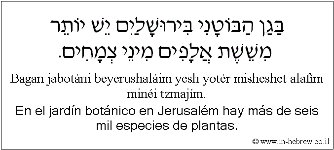 Español y hebreo: En el jardín botánico en Jerusalém hay más de seis mil especies de plantas.