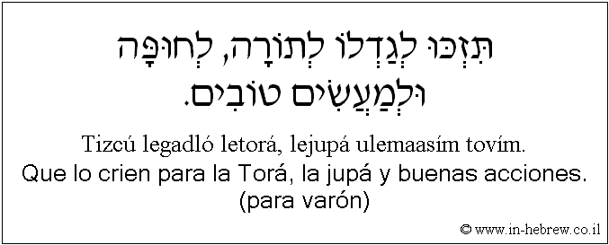 Español y hebreo: Que lo crien para la Torá, la jupá y buenas acciones. (para varón)