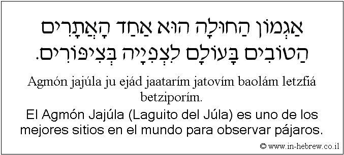 Español y hebreo: El Agmón Jajúla (Laguito del Júla) es uno de los mejores sitios en el mundo para observar pájaros.