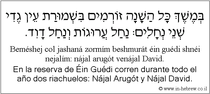 Español y hebreo: En la reserva de Éin Guédi corren durante todo el año dos riachuelos: Nájal Arugót y Nájal David.
