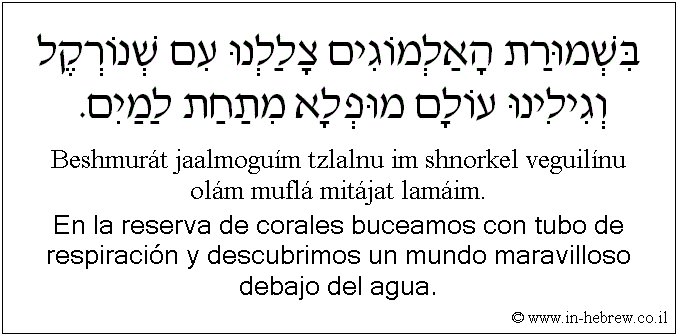 Español y hebreo: En la reserva de corales buceamos con tubo de respiración y descubrimos un mundo maravilloso debajo del agua.