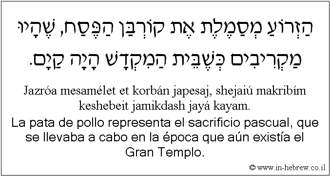 Español y hebreo: La pata de pollo representa el sacrificio pascual, que se llevaba a cabo en la época que aún existía el Gran Templo.