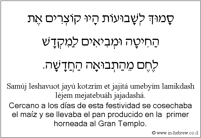 Español y hebreo: Cercano a los días de esta festividad se cosechaba el maíz y se llevaba el pan producido en la  primer horneada al Gran Templo.