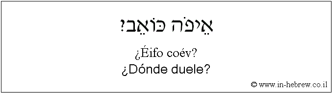 Español y hebreo: ¿Dónde duele?